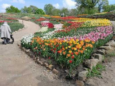 Frühlingsblüte im NaturaGart-Park Frühlingsblüte im NaturaGart-Park